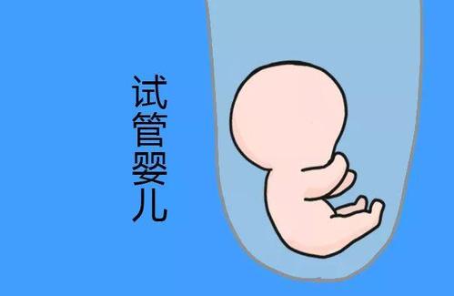 王主任